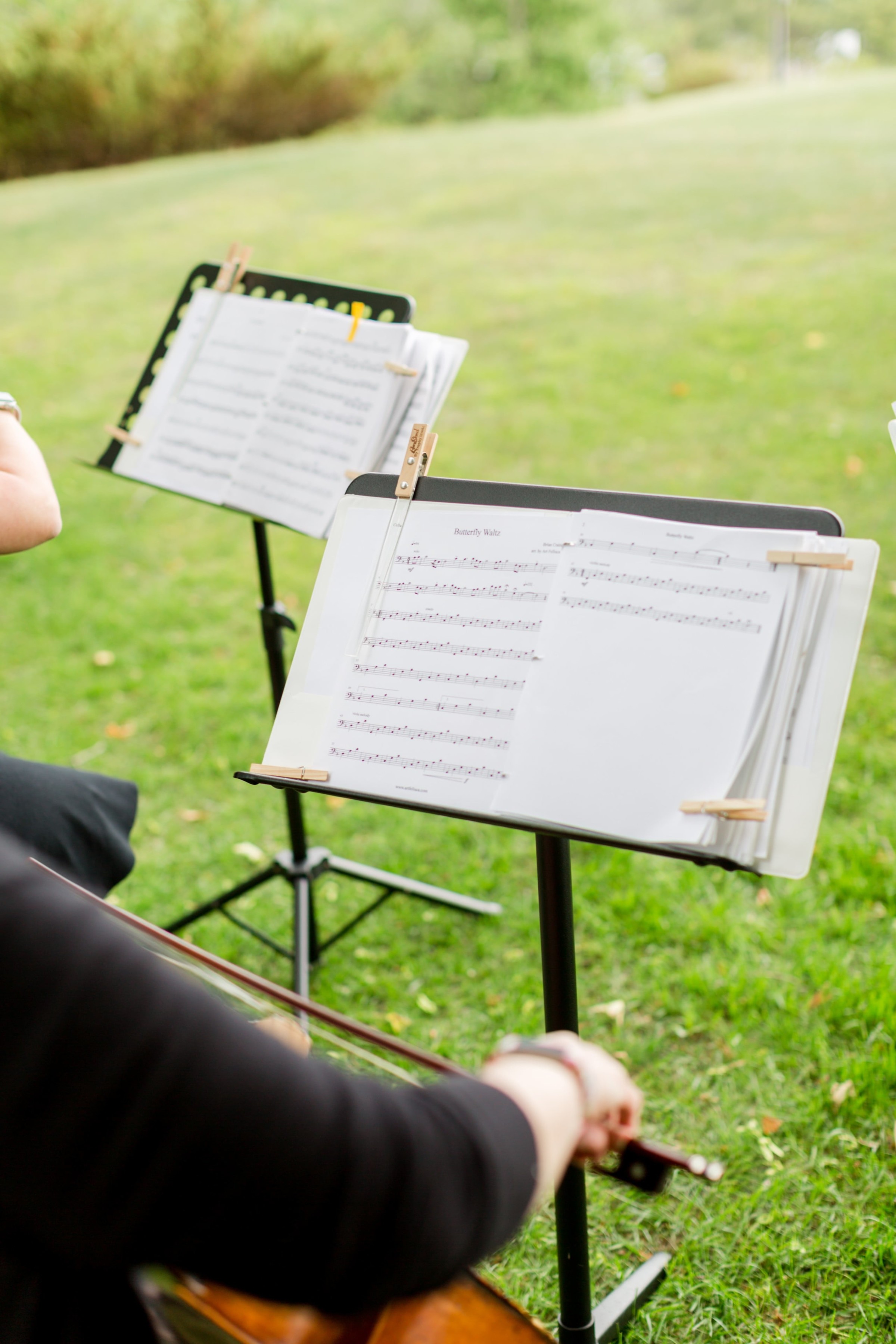 Outdoor cellist performing “Butterfly Waltz” on a green lawn during a serene garden event.