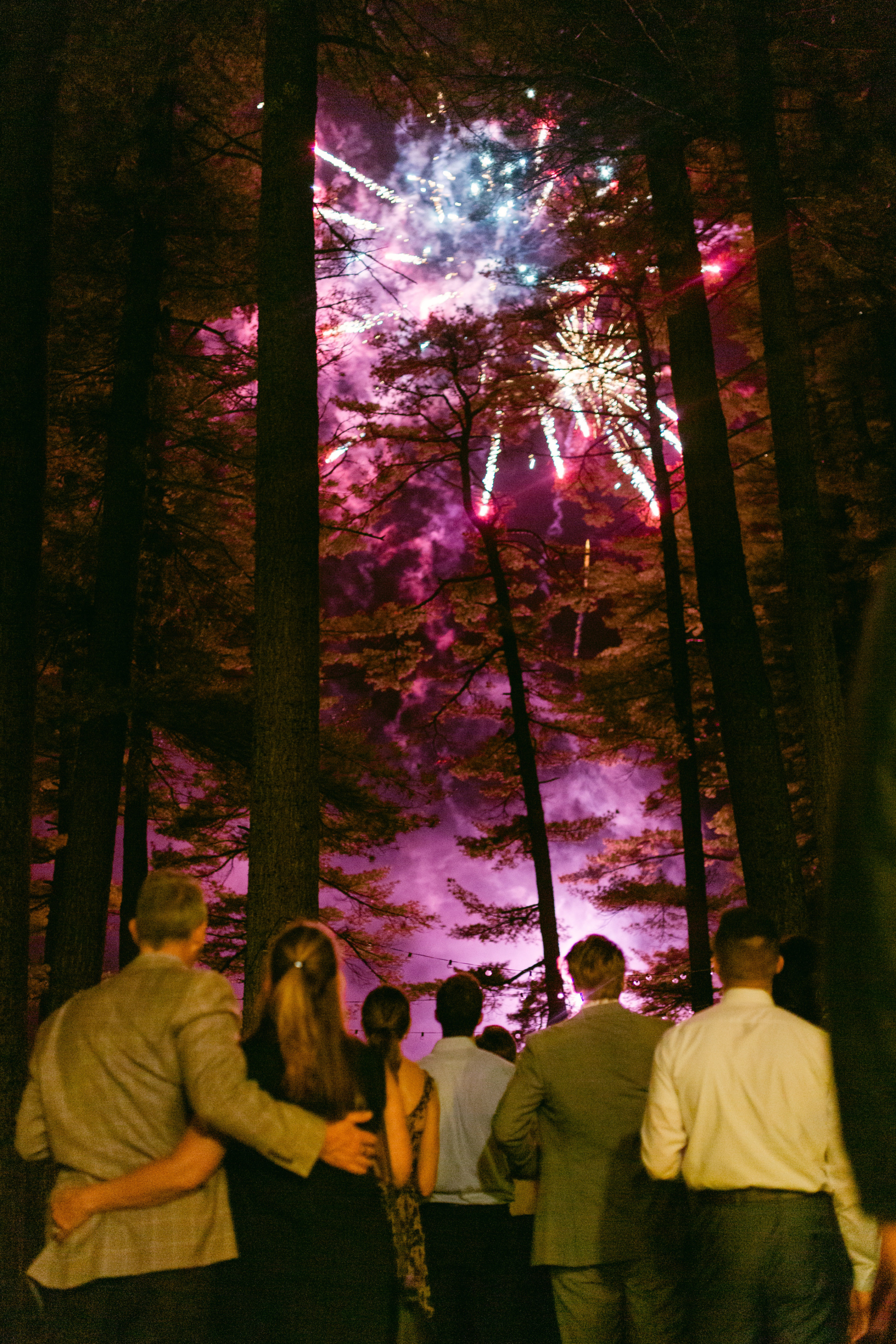 Guests watching colorful fireworks through tall pine trees at a romantic forest wedding celebration.