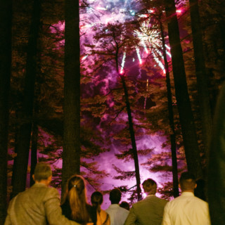 Guests watching colorful fireworks through tall pine trees at a romantic forest wedding celebration.